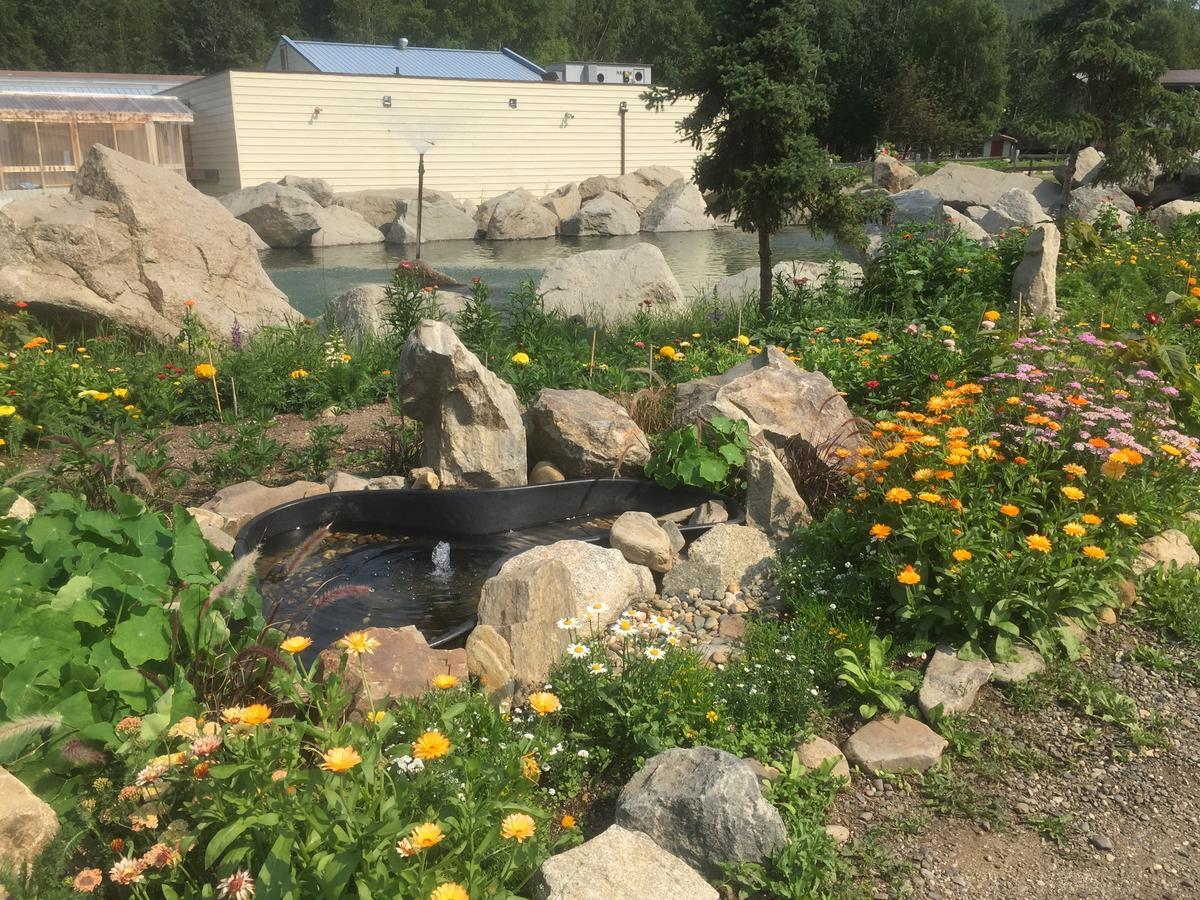 チェナ ホット スプリングス リゾート Chena Hot Springs エクステリア 写真